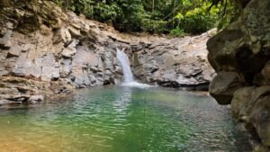 Foto 5-3-24, 2 37 40 p. m. (11)